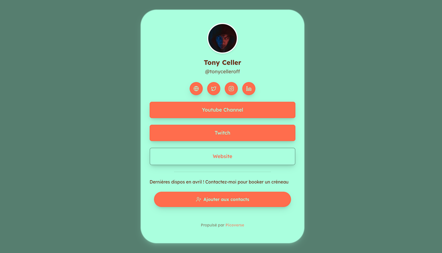 Aperçu de Picoverse